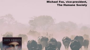 Michael Fox on Mankind as Dangerous